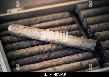 Humidor scatola in legno per sigari, vista aerea Foto Stock