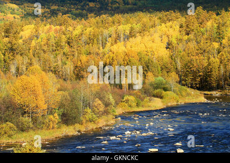 Maggiore gamma Khingan autunno,Heilongjiang provincia,Cina Foto Stock