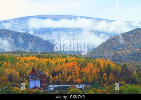 Maggiore gamma Khingan autunno,Heilongjiang provincia,Cina Foto Stock