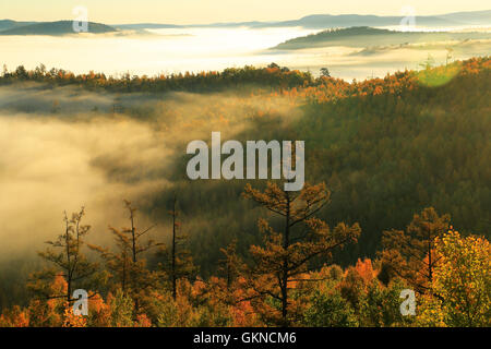 Foresta di autunno in una maggiore gamma Khingan, Cina Foto Stock