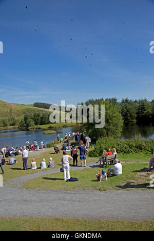 La folla di visitatori la visione di Red kites essendo alimentato Bwlch Nant Yr Arian Visitor Center Ceredigion il Galles Centrale Foto Stock