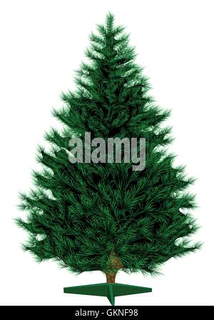 Unico albero isolato di pino ramo illustrazione evergreen ago fir thorn stagione di natale prato Illustrazione Vettoriale