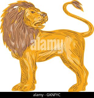 Disegno stile sketch illustrazione di un arrabbiato lion gatto grande fragore che mostra denti canini guardando al retro visto dal lato Illustrazione Vettoriale