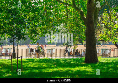 Donna in bicicletta a Londra, in un pomeriggio estivo una ciclista matura corre attraverso Hyde Park nel centro di Londra, Regno Unito Foto Stock