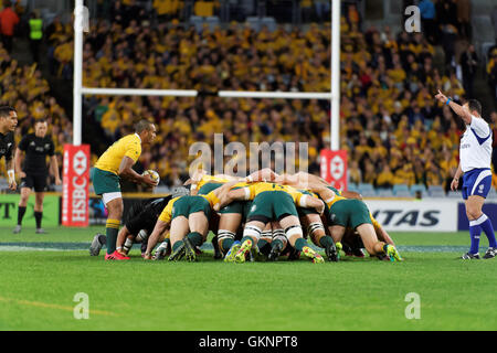 Sydney, Australia. 20 agosto 2016. In Australia la volontà Genia (9) alimenta un scrum durante la prima Federazione rugby test match tra Australian Wallaby e Nuova Zelanda All Blacks. La Nuova Zelanda ha vinto il primo match 42-8 presso lo stadio ANZ e 1-0 in Bledisloe Cup annuale suddiviso in tre serie di match. Credito: Hugh Peterswald/Pacific Press/Alamy Live News Foto Stock