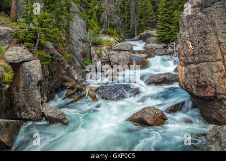 Lago Creek Falls su la Beartooth Highway, un National Scenic Byways strada All-American nel nord del Wyoming. Foto Stock