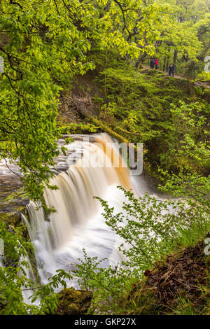 Sgwd Clun-gwyn (caduta del prato bianco) a quattro cadute Trail, Parco Nazionale di Brecon Beacons, Pontneddfechan, POWYS, GALLES, unite Foto Stock