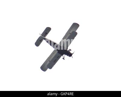 Bournemouth, Regno Unito. 21 Ago, 2016. Le Tigri del paracadute e del Team Red Devils sul display a Bournemouth Air Festival 2016. Credito: Nastia M/Alamy Live News Foto Stock