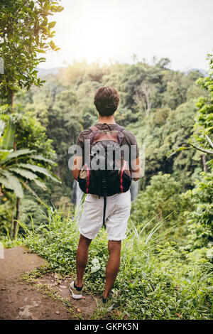 Vista posteriore dell'uomo guardando a cascata nella foresta. Escursionista maschio in piedi su una scogliera e visualizzazione di cascata. Foto Stock