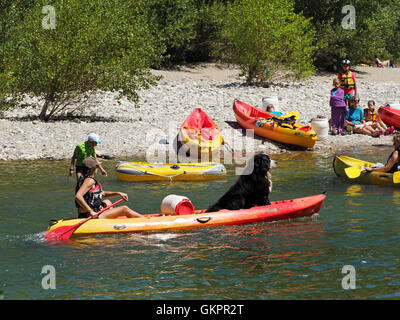 Anche i cani vanno in gita in canoa in Francia, questo è il fiume Herault nella regione di Cevennes. Foto Stock