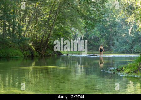 Donna matura guadare in acqua dove le molle Poe eseguire incontra la Santa Fe river, Gilchrist County, Florida Foto Stock