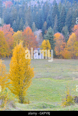 Colorato paesaggio autunnale nel villaggio di montagna Foto Stock