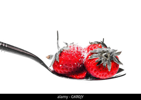 Colore schioccato fragole cosparsa di zucchero su un cucchiaio di isolato su un bianco di sfondo per studio Foto Stock