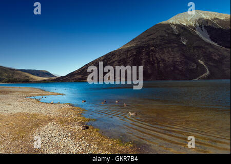 Il lago di Pearson / Moana Rua Wildlife Refuge situato nel Craigieburn Forest Park nella regione di Canterbury, Isola del Sud della Nuova Zelanda Foto Stock