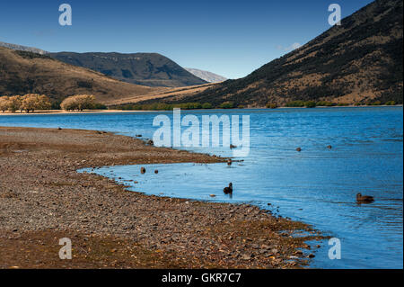 Il lago di Pearson / Moana Rua Wildlife Refuge situato nel Craigieburn Forest Park nella regione di Canterbury, Isola del Sud della Nuova Zelanda Foto Stock