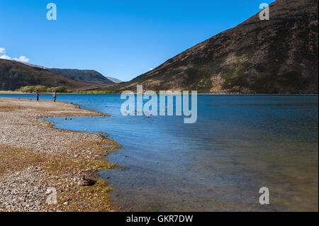 Il lago di Pearson / Moana Rua Wildlife Refuge situato nel Craigieburn Forest Park nella regione di Canterbury, Isola del Sud della Nuova Zelanda Foto Stock