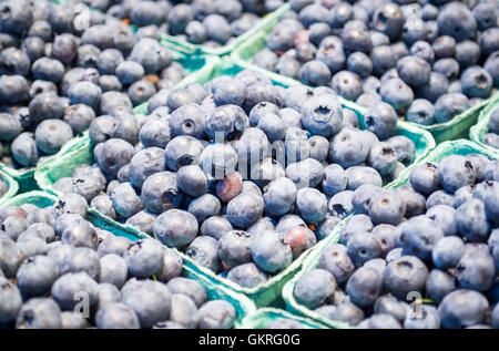 Punnets di mirtilli organico per la vendita al Granville Island il Mercato Pubblico in Vancouver, British Columbia, Canada. Foto Stock