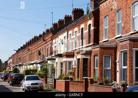 In mattoni rossi a schiera vittoriana townhouses rushfield avenue south belfast Irlanda del Nord Foto Stock