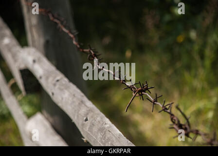 Filo spinato teso lungo la recinzione di legno Foto Stock