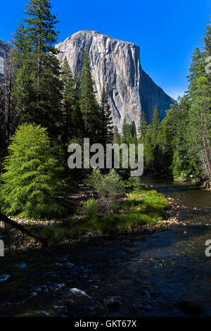 Si tratta di un tardo pomeriggio vista della maestosa formazione di granito sapere come El Capitan in Yosemite National Park, California USA Foto Stock