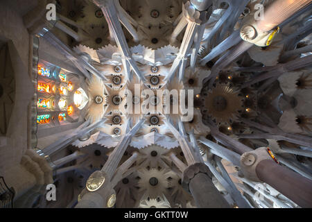 Dettaglio del tetto nella navata centrale. Gaudí progettato le colonne a specchio alberi e rami, Barcellona, Spagna Foto Stock