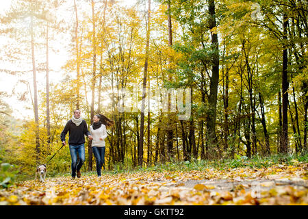 Bella coppia Giovane con cane che corre nella foresta di autunno Foto Stock