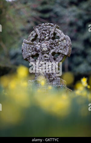 Croce celtica e narcisi; Cornovaglia; Regno Unito Foto Stock