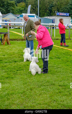 Cartmel Show 2016 Foto Stock