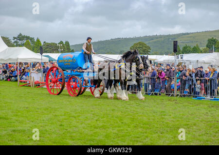 Cartmel Show 2016 Foto Stock