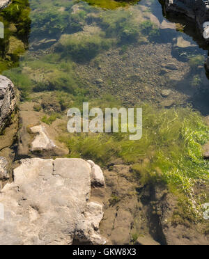 Clear rock pool in luce brillante serie 3589 Foto Stock