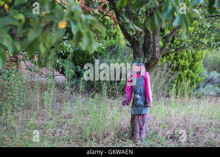 Bella bionda spaventapasseri nel giardino del campo nel villaggio di Couiza,Aude,a sud della Francia. Foto Stock