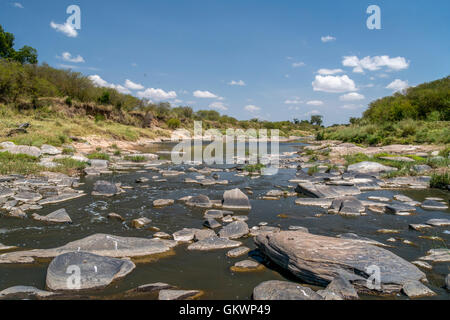 Safari, Kenya, Tanzania , Zambia , la fauna selvatica, leoni , big-cinque , parcheggio , Serengeti,paesaggio, Mara,wildlife, blu cielo, serengeti Foto Stock