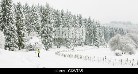 Foresta di conifere in inverno. Foto Stock