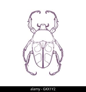 Illustrazione Vettoriale di delineare Beetle Bug insetto disegnati a mano per la colorazione, Jumnos ruckeri Illustrazione Vettoriale