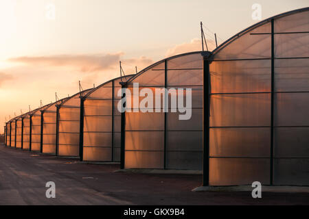 Scala grande serra industriale illuminato da sunet Foto Stock