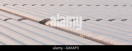 Serra industriale di crescere fuori stagione le verdure Foto Stock