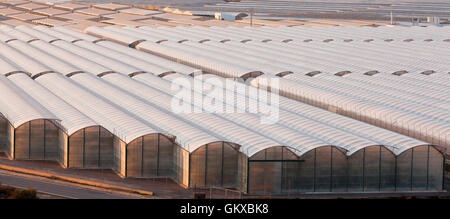 Serra industriale di crescere fuori stagione le verdure Foto Stock