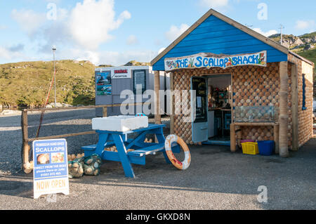 La dentellatura Shack a Miavaig porto dell'isola di Lewis vende nuova mano-buttata capesante. Foto Stock