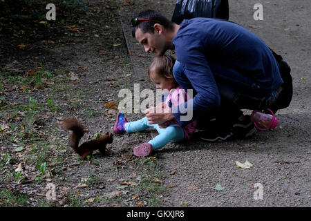 La gente del posto con uno scoiattolo nel Parco Lazienki a Varsavia Polonia Foto Stock