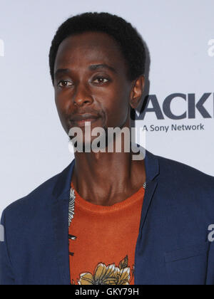 West Hollywood, CA, Stati Uniti d'America. 23 Ago, 2016. 23 Agosto 2016 - West Hollywood, California. Edi Gathegi. Los Angeles Premiere di crepitio di ''Startup'" tenutasi presso il London West Hollywood. Photo credit: Birdie Thompson/AdMedia Credito: Birdie Thompson/AdMedia/ZUMA filo/Alamy Live News Foto Stock