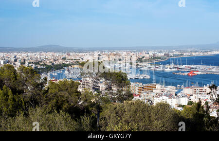 Vista panoramica su Palma de Maiorca, isole Baleari che mostra la topografia della città e marina in un concetto di viaggio Foto Stock