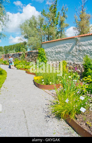 Botaanikaaed, giardino botanico, Tartu, Estonia, paesi baltici, Europa Foto Stock