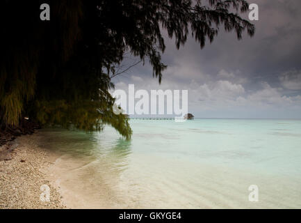 Palme oltre appendere il litorale di Fakarava island, con un capanno da pesca su palafitte in background. Foto Stock