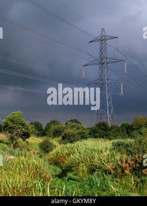A sunlit pylon and electricity power lines stand out stark against a stormy sky over rough farmland and marshy scrub, Gwynedd, North Wales, UK Foto Stock