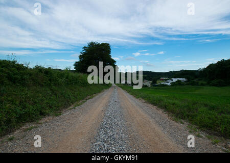 Landscpae di terreni agricoli con la strada attraverso il taglio nel sud della Pennsylvania Foto Stock