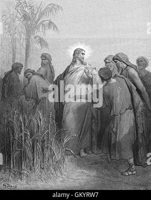 Incisione dei discepoli la spennatura il mais in giorno di sabato da Gustave Doré Foto Stock