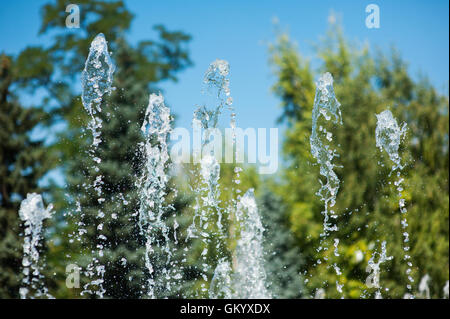 Fontana in background di alberi nel parco Foto Stock