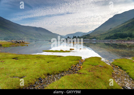 La mattina presto a Loch Duich nelle Highlands sulla costa occidentale della Scozia con un tappeto di verde samphire in primo piano Foto Stock