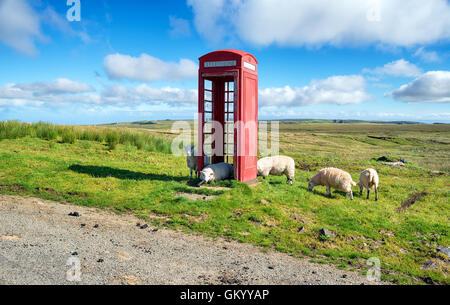 Gli ovini di un telefono rosso nella casella sull'Isola di Skye in Scozia Foto Stock