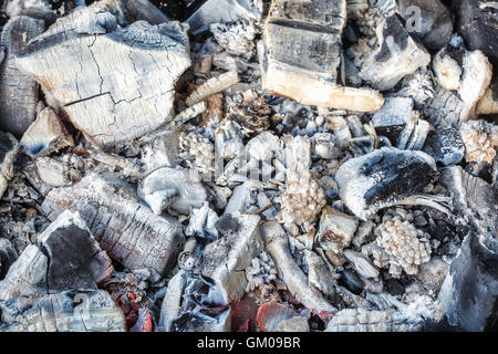 Vista dettagliata del decadimento carboni di legna e cenere nel braciere Foto Stock